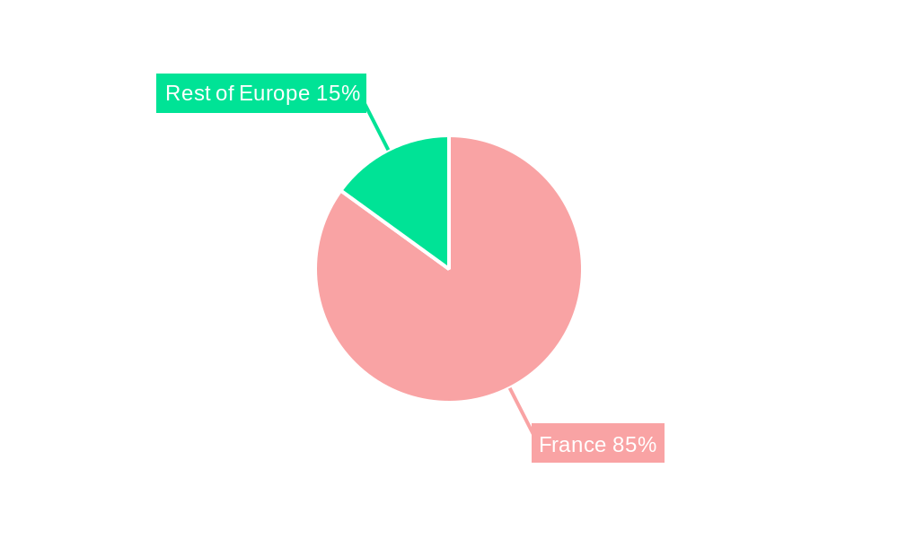 France LED Lighting Market Regional Share