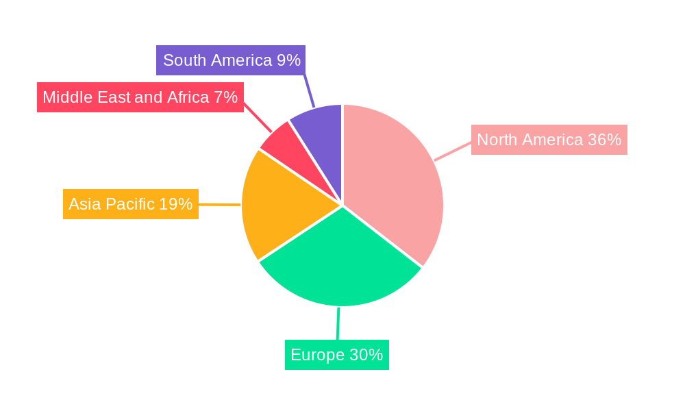 Global Digestive Enzymes Market Regional Share