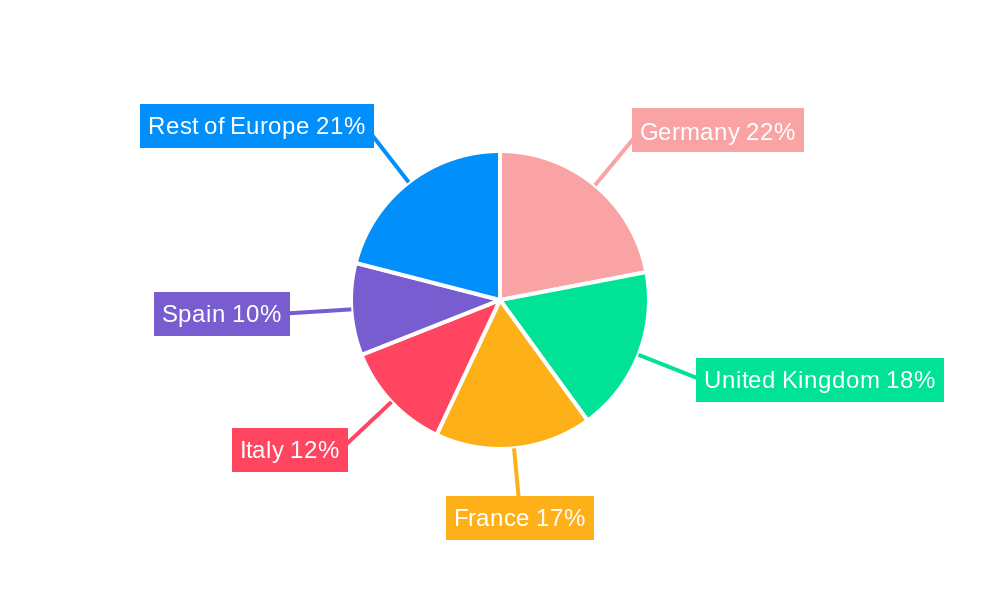 Hydrogel Dressing Market in Europe Regional Share