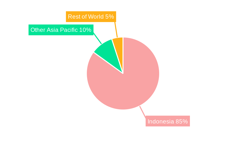 Indonesia Geothermal Power Industry Regional Share