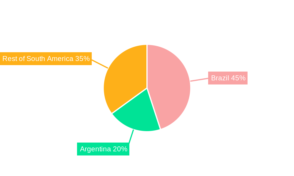 Latin America Mobile Gaming Market Regional Share