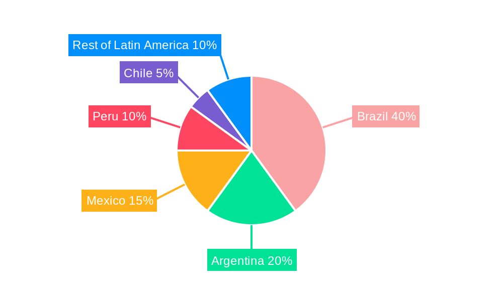 Latin American Textiles Industry Regional Share