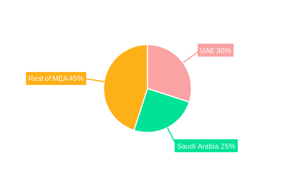 MEA Flat Glass Market Regional Share