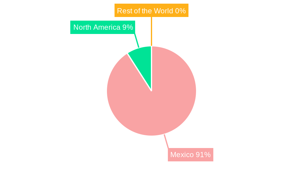 Mexico Automotive OEM Coatings Market Regional Share