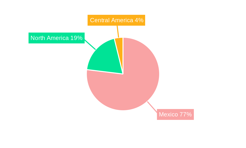 Mexico Flat Glass Market Regional Share
