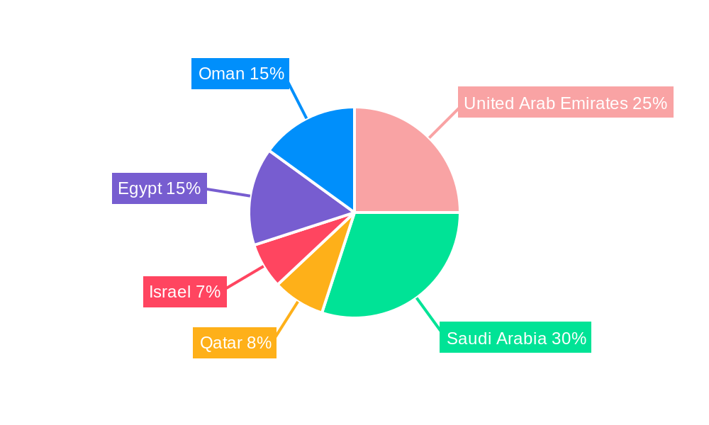 Middle East LED Lighting Industry Regional Share