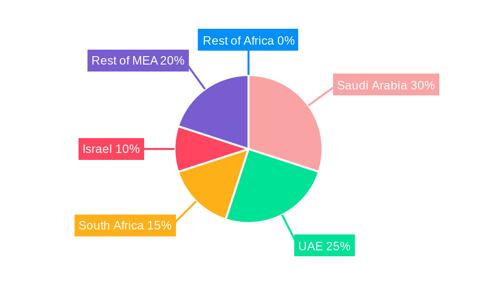 Middle-East and Africa Nanosensors Market Regional Share