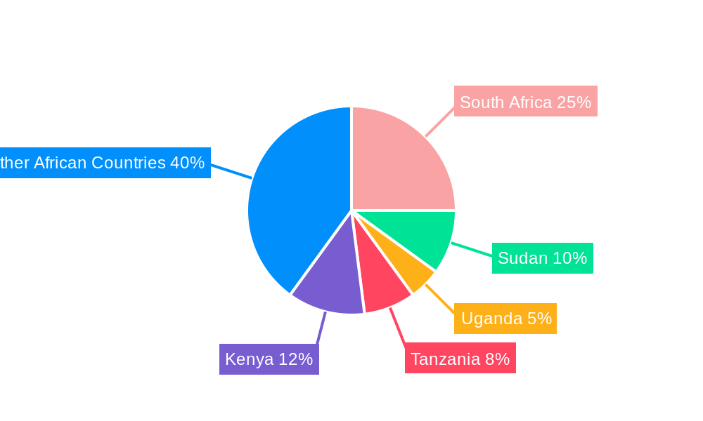 Middle East and Africa Outdoor LED Lighting Market Regional Share