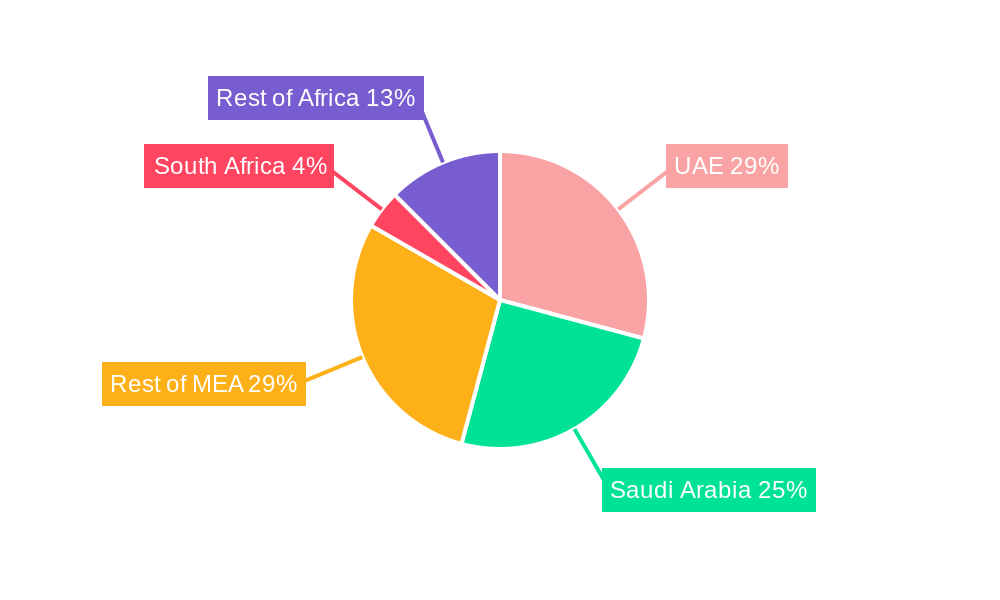 Middle East and Africa Protective Packaging Market Regional Share
