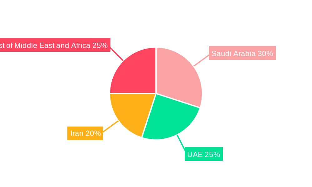 Natural Gas Market in Middle East Regional Share