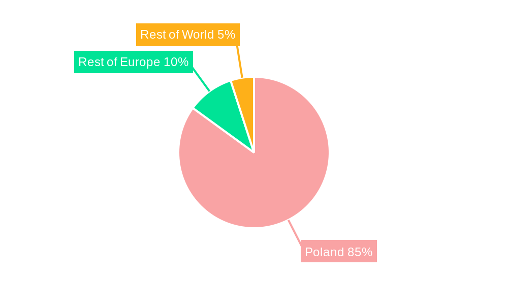Polish Infrastructure Market Regional Share