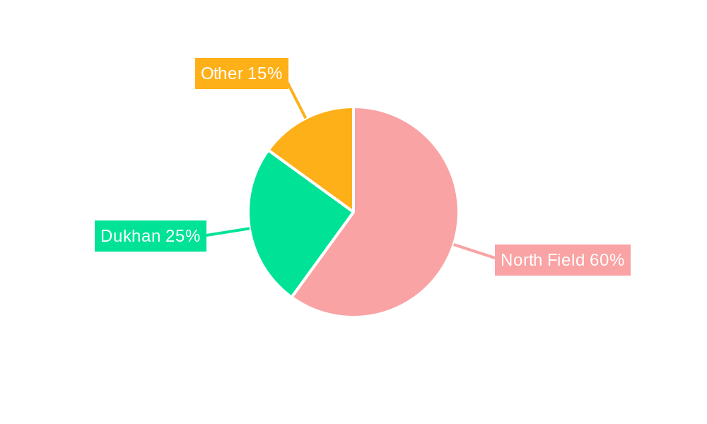 Qatar Oilfield Chemicals Market Regional Share