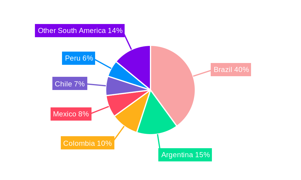 South America Automotive Lubricant Market Regional Share