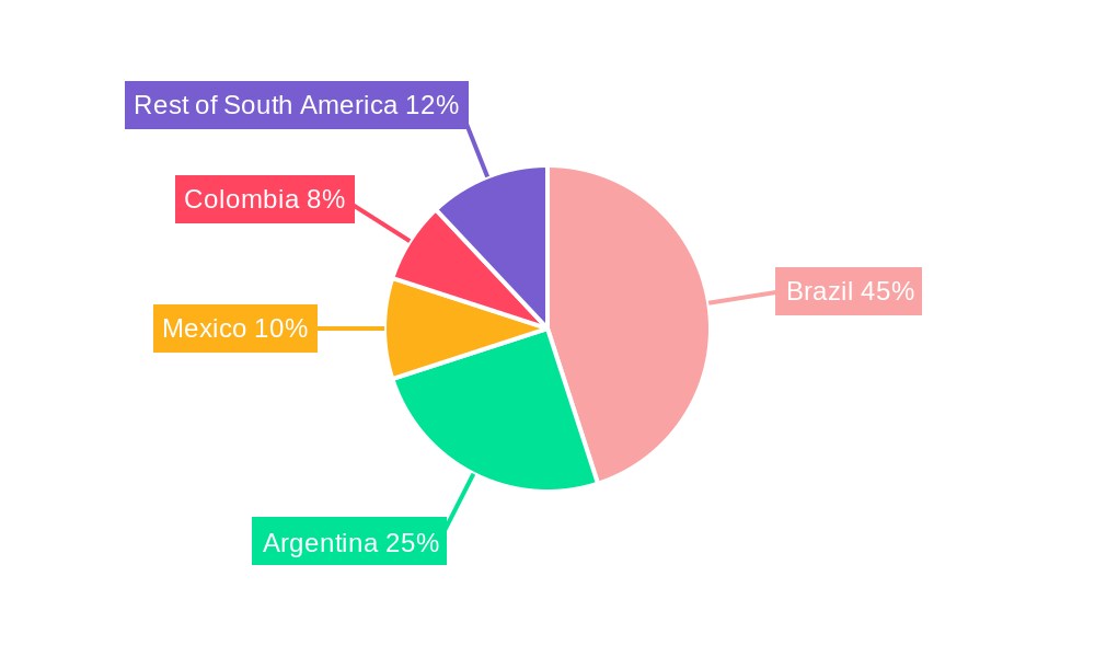 South America Polyamide Market Regional Share