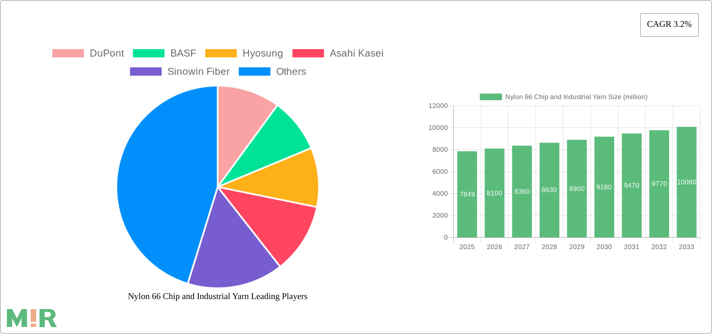 Nylon 66 Chip and Industrial Yarn Research Report - Market Size, Growth & Forecast