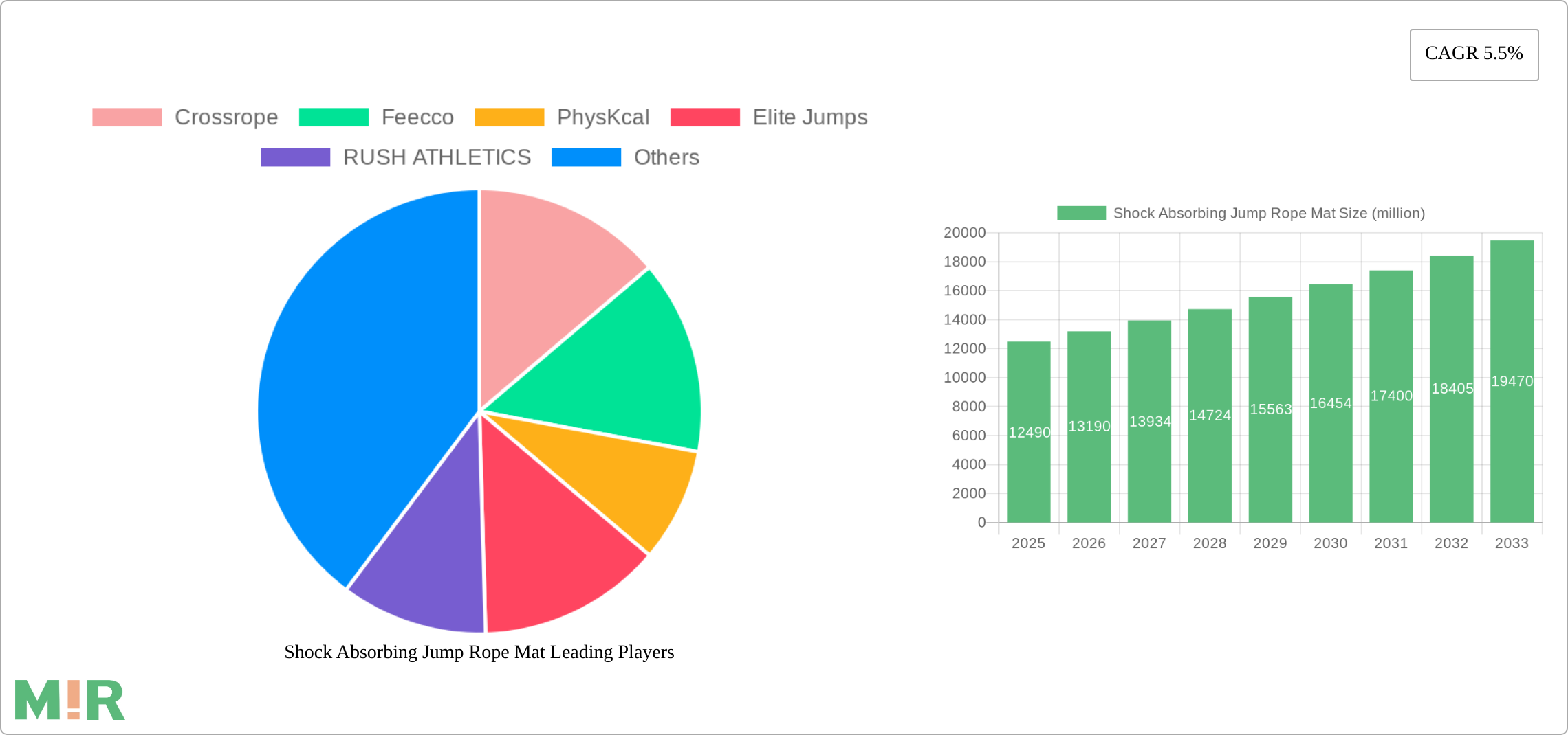 Shock Absorbing Jump Rope Mat Research Report - Market Size, Growth & Forecast