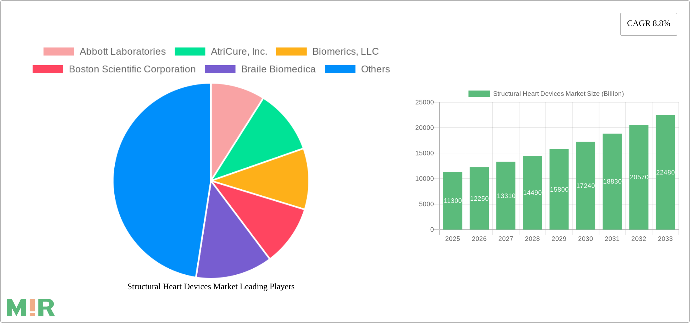 Structural Heart Devices Market Research Report - Market Size, Growth & Forecast