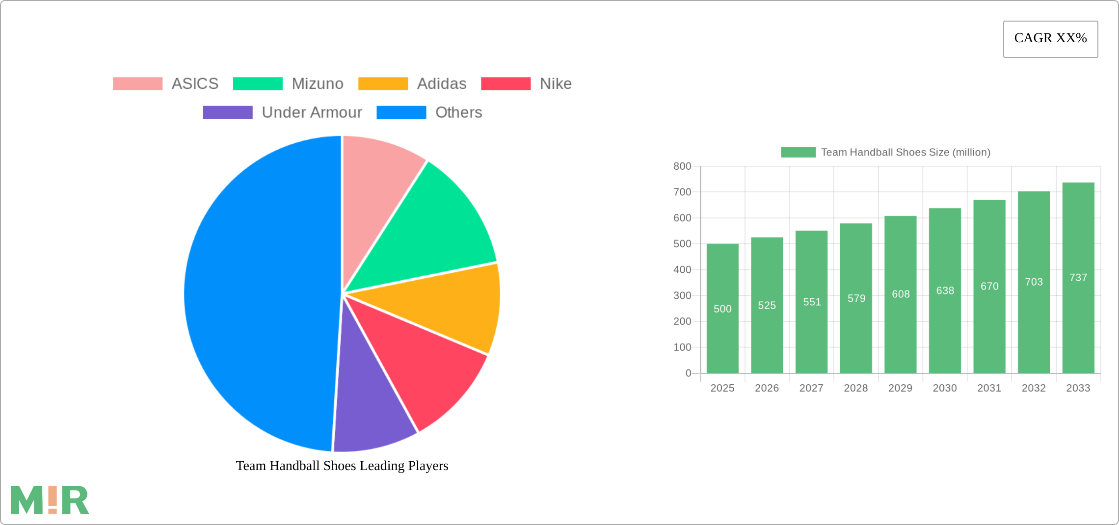 Team Handball Shoes Research Report - Market Size, Growth & Forecast