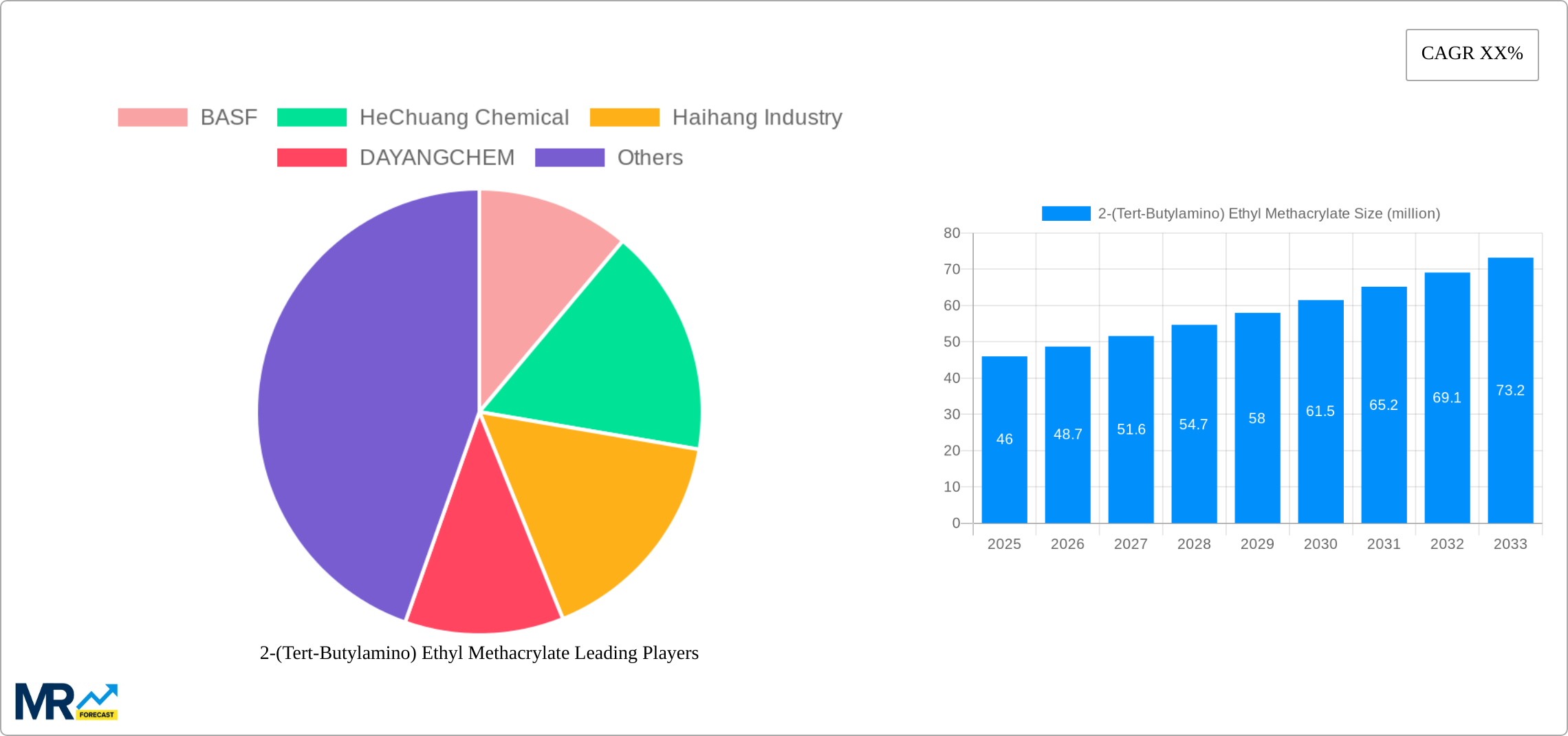 2-(Tert-Butylamino) Ethyl Methacrylate Research Report - Market Size, Growth & Forecast