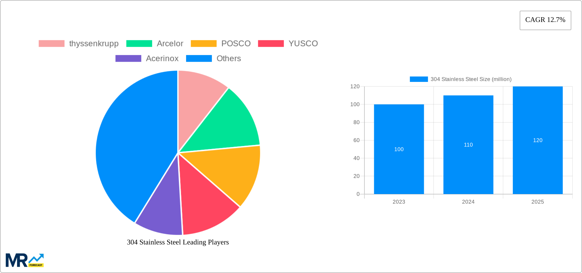 304 Stainless Steel Research Report - Market Size, Growth & Forecast