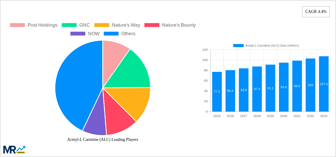 Acetyl-L Carnitine (ALC) Research Report - Market Size, Growth & Forecast