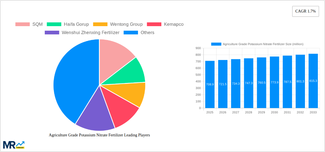 Agriculture Grade Potassium Nitrate Fertilizer Research Report - Market Size, Growth & Forecast