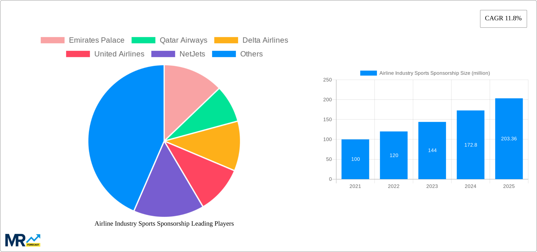 Airline Industry Sports Sponsorship Research Report - Market Size, Growth & Forecast