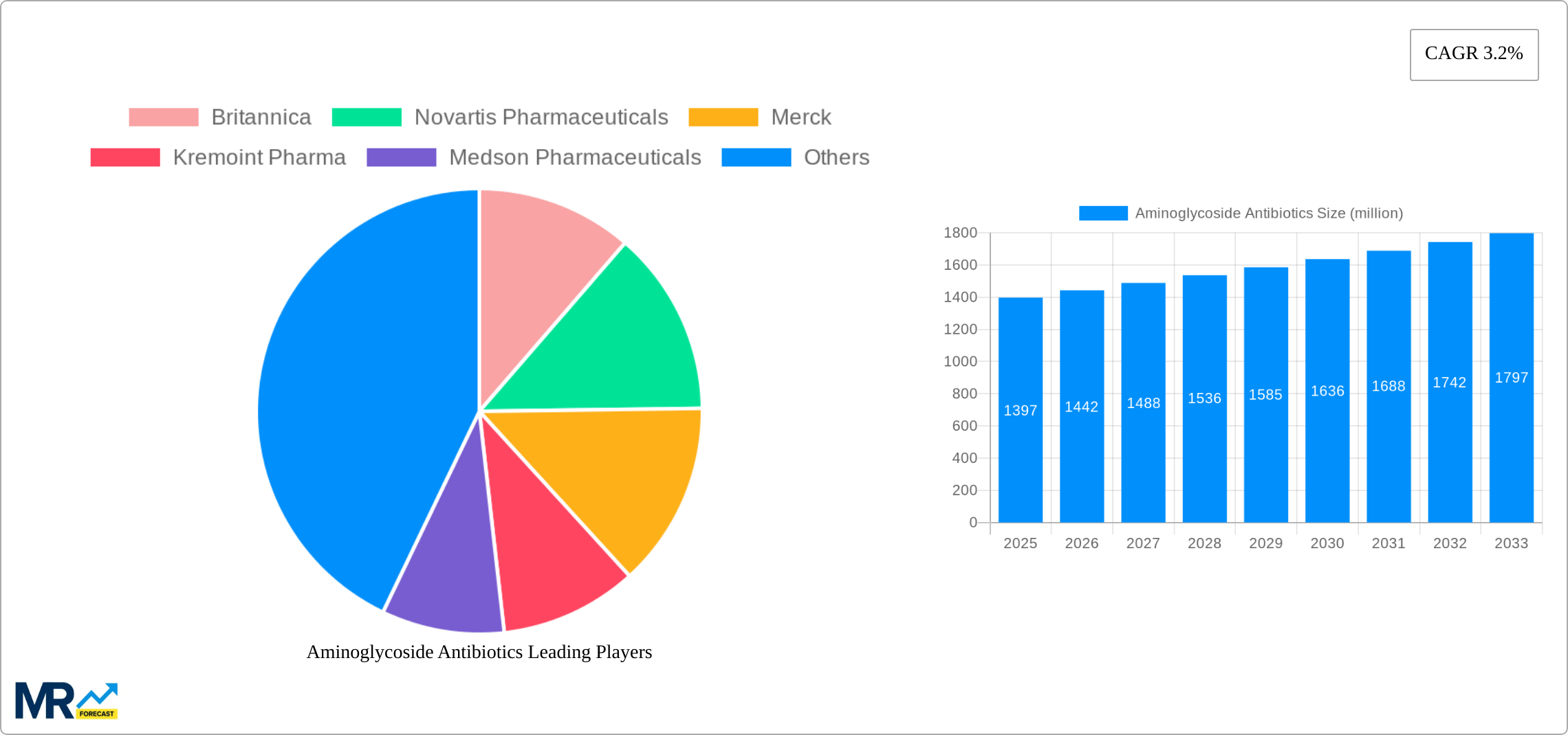 Aminoglycoside Antibiotics Research Report - Market Size, Growth & Forecast