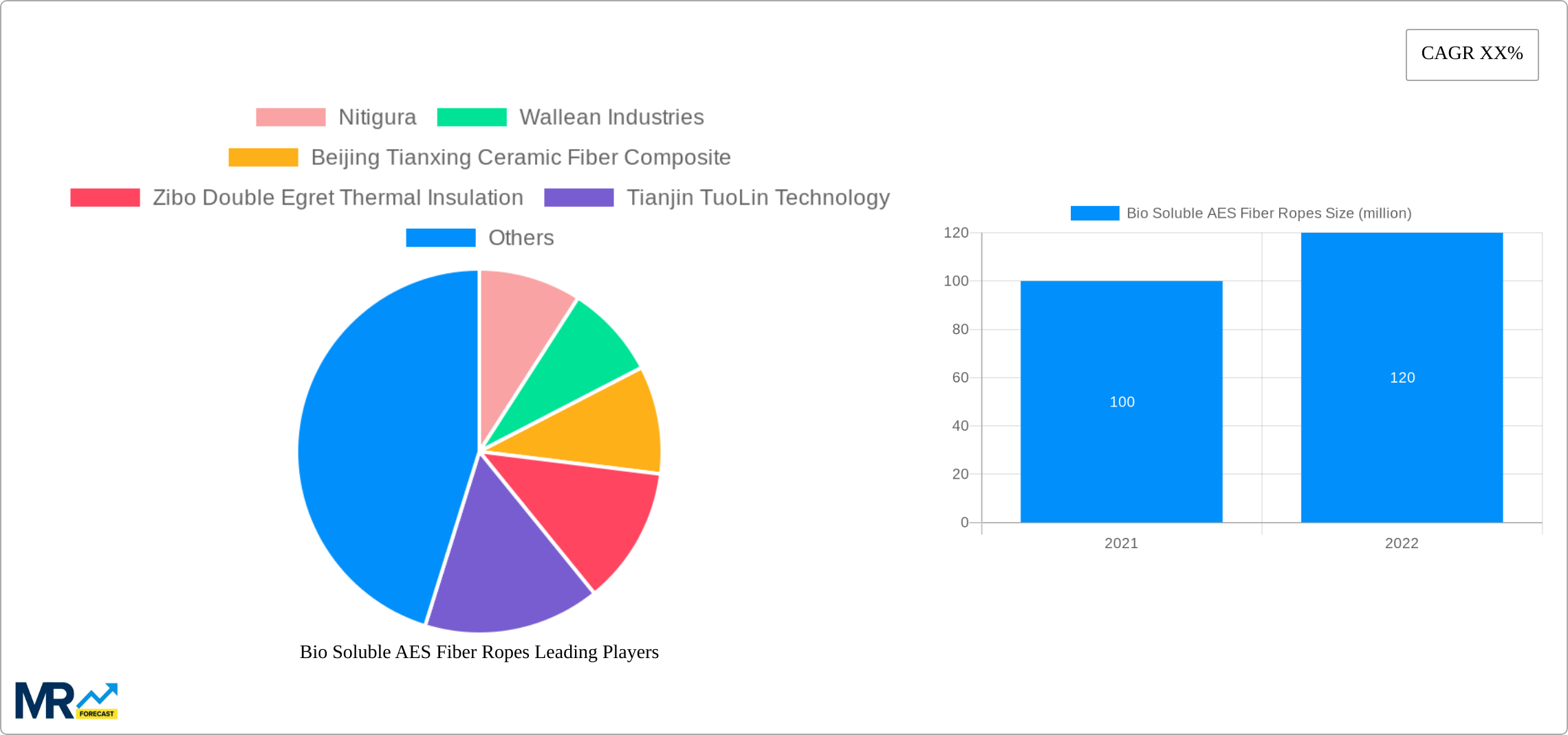Bio Soluble AES Fiber Ropes Research Report - Market Size, Growth & Forecast