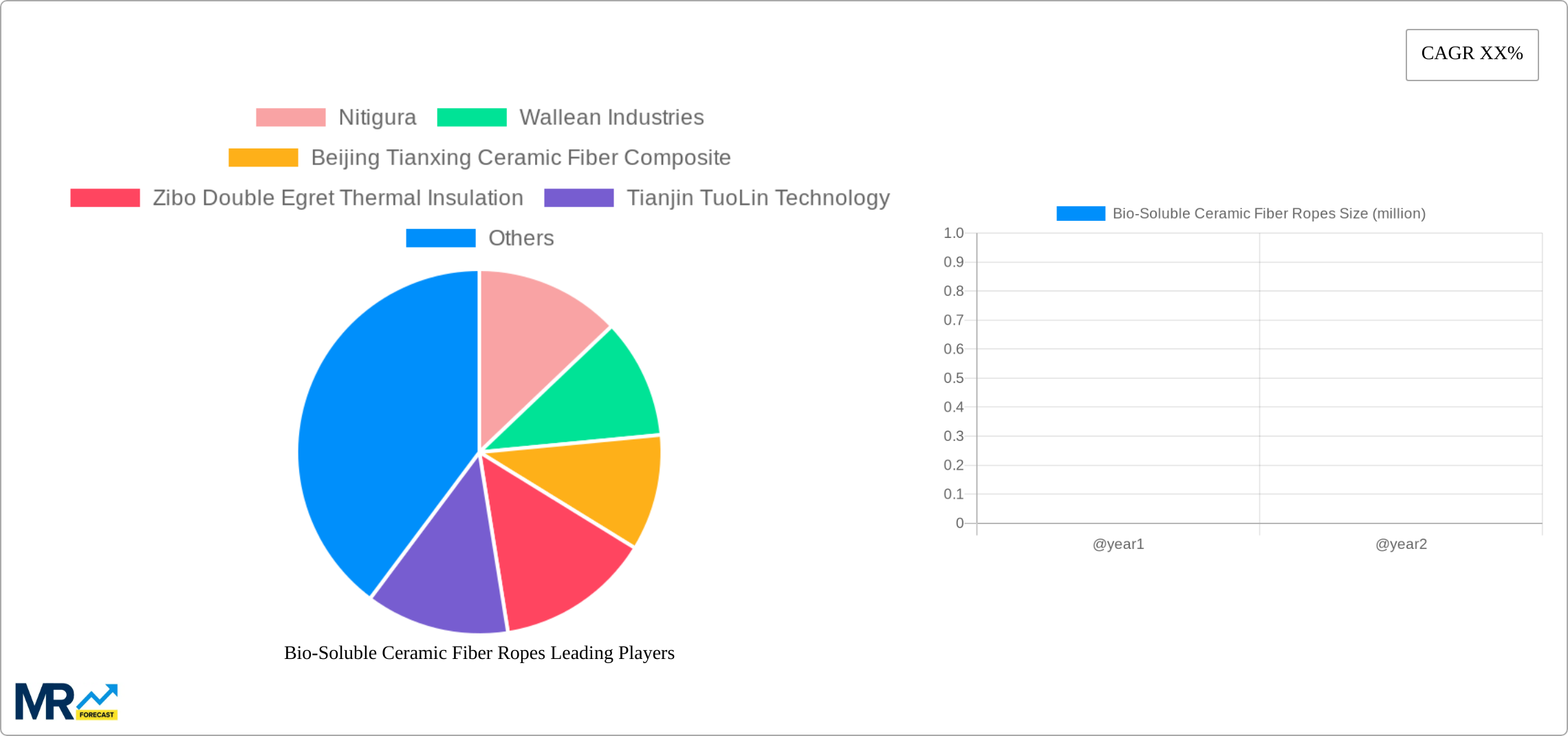 Bio-Soluble Ceramic Fiber Ropes Research Report - Market Size, Growth & Forecast