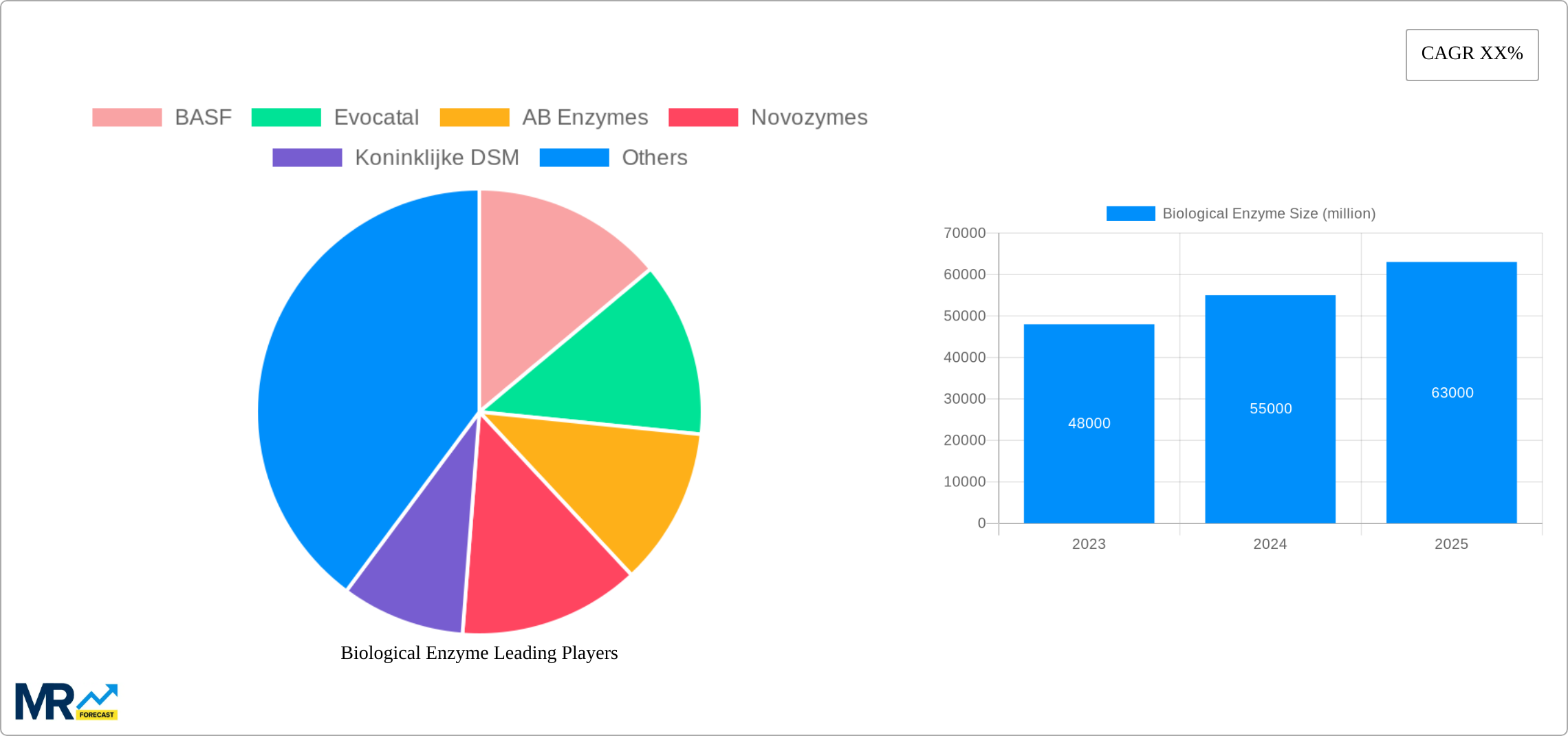 Biological Enzyme Research Report - Market Size, Growth & Forecast
