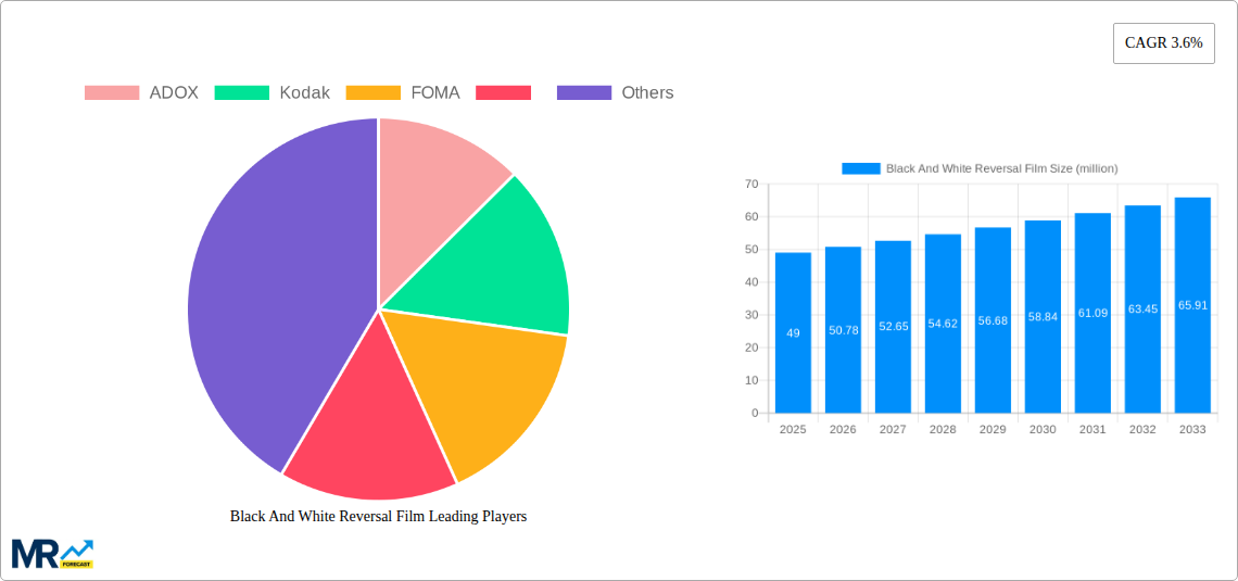 Black And White Reversal Film Research Report - Market Size, Growth & Forecast