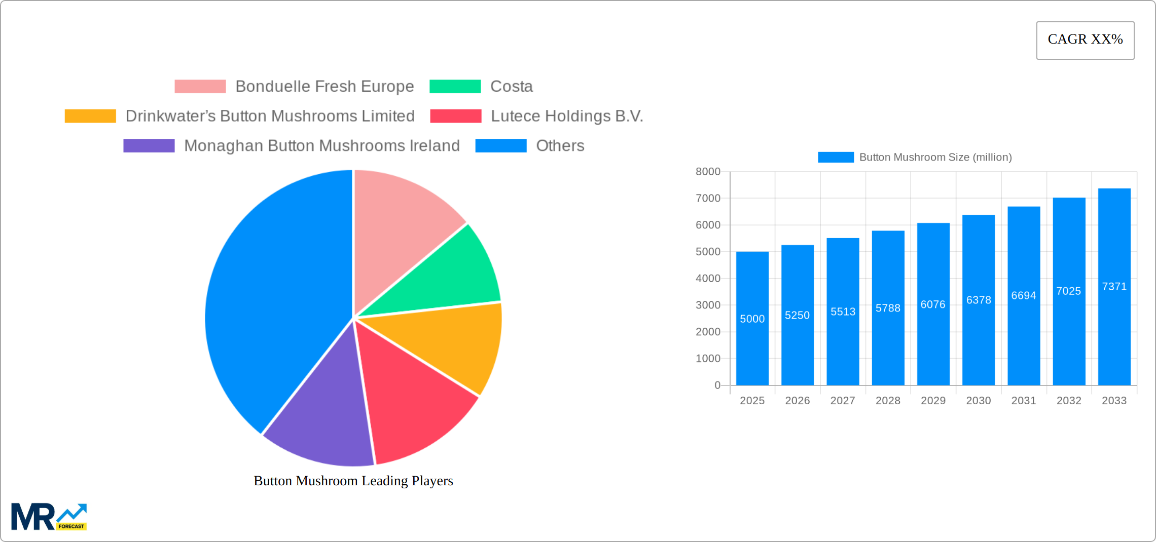 Button Mushroom Research Report - Market Size, Growth & Forecast