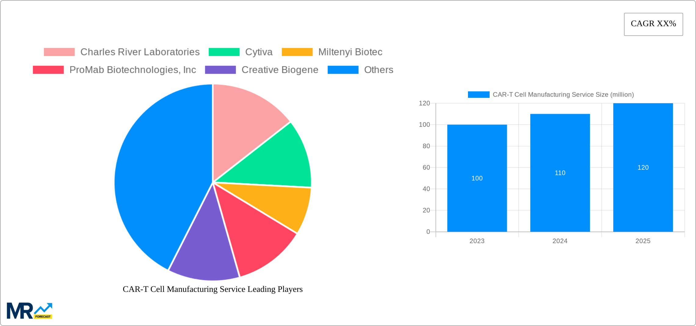 CAR-T Cell Manufacturing Service Research Report - Market Size, Growth & Forecast