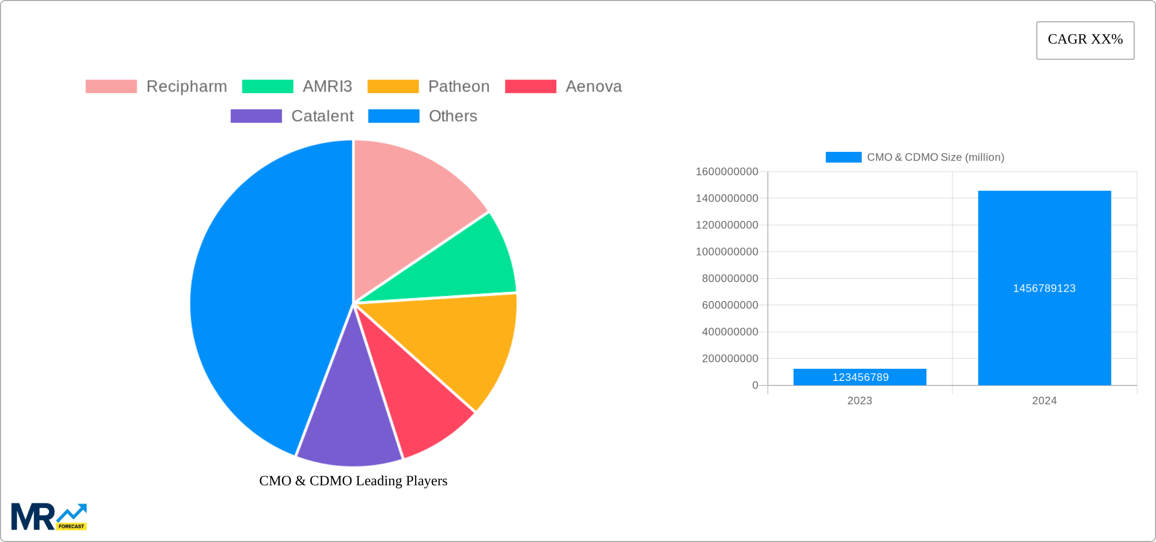 CMO & CDMO Research Report - Market Size, Growth & Forecast