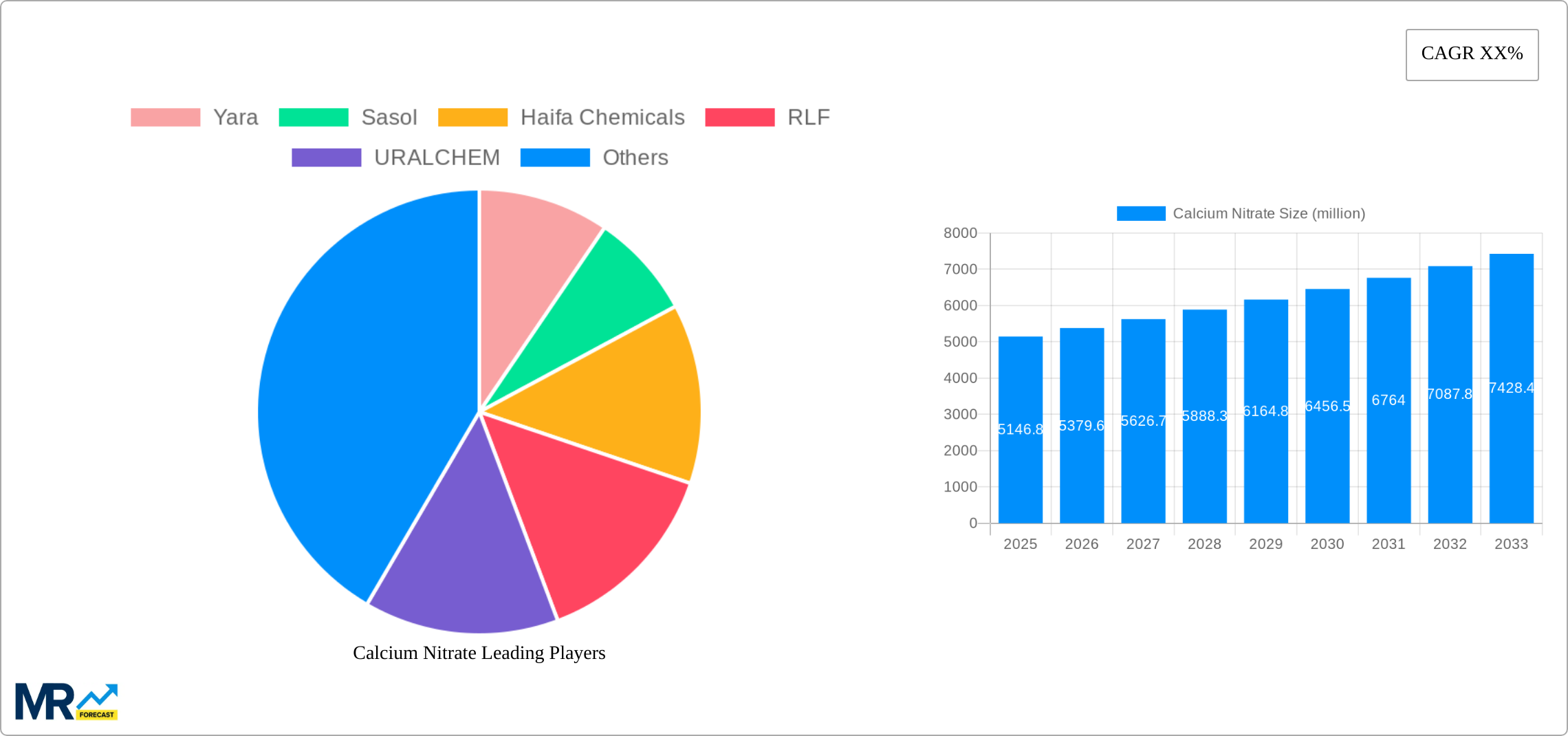 Calcium Nitrate Research Report - Market Size, Growth & Forecast