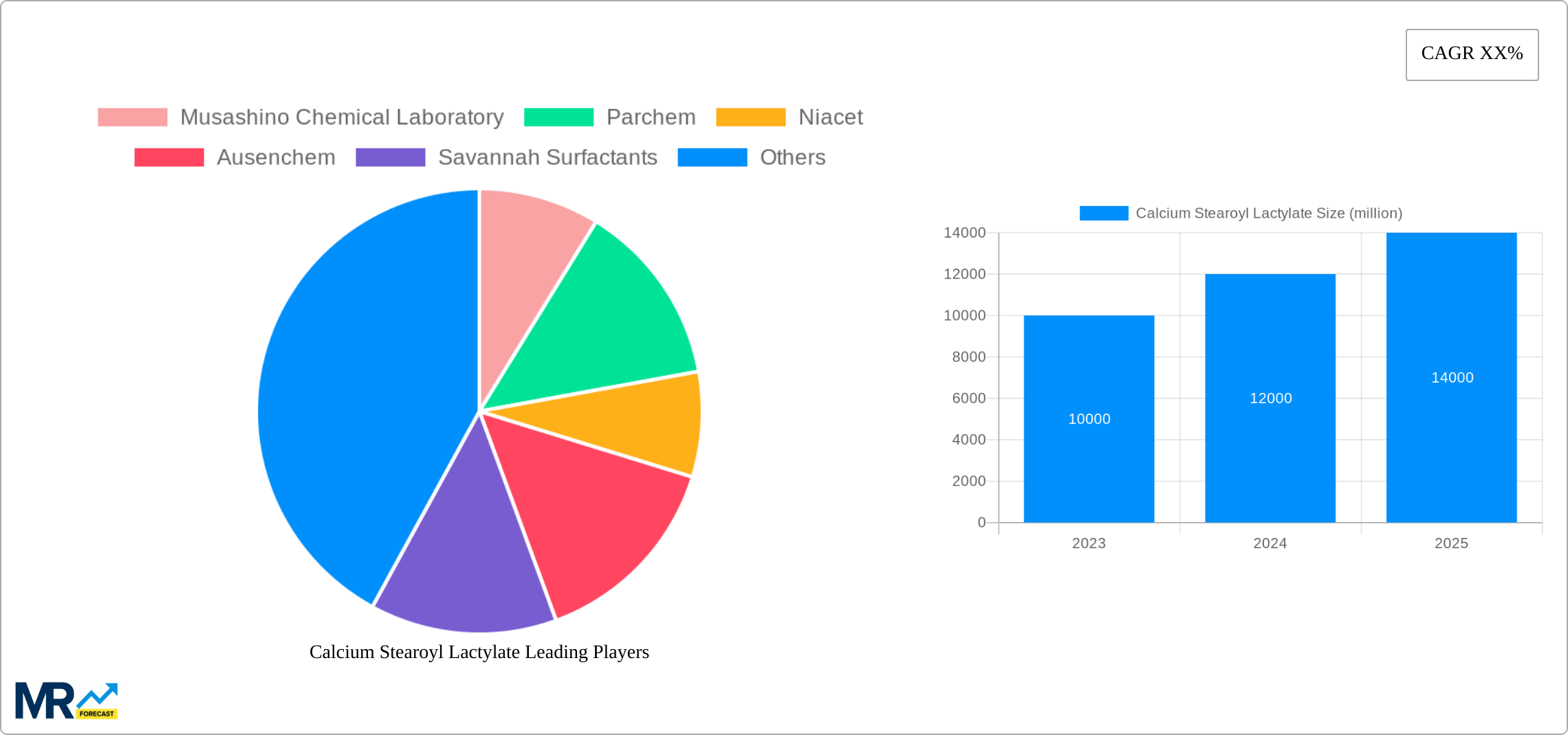 Calcium Stearoyl Lactylate Research Report - Market Size, Growth & Forecast
