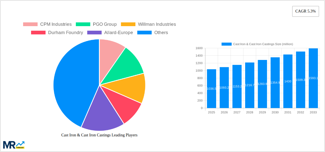 Cast Iron & Cast Iron Castings Research Report - Market Size, Growth & Forecast