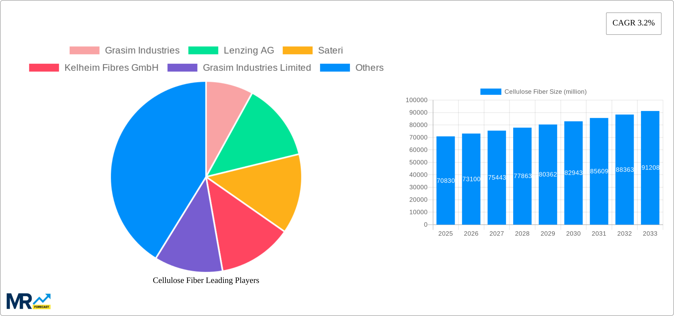 Cellulose Fiber Research Report - Market Size, Growth & Forecast