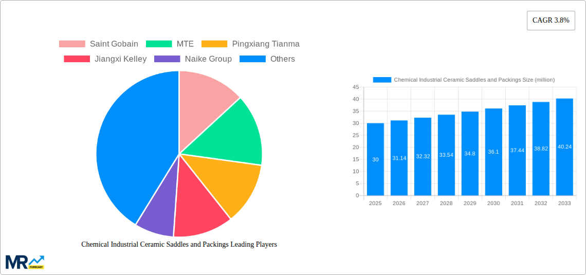 Chemical Industrial Ceramic Saddles and Packings Research Report - Market Size, Growth & Forecast
