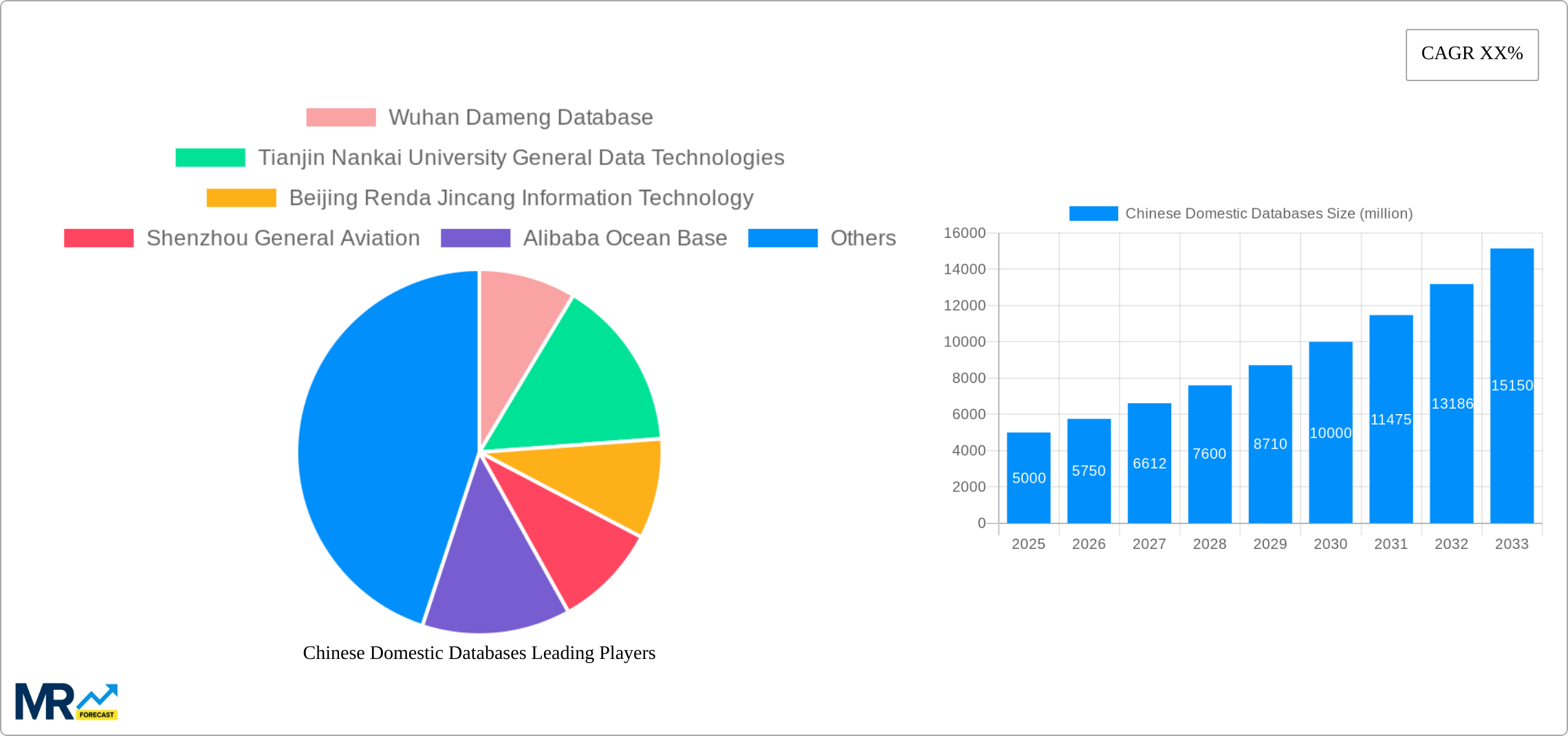Chinese Domestic Databases Research Report - Market Size, Growth & Forecast