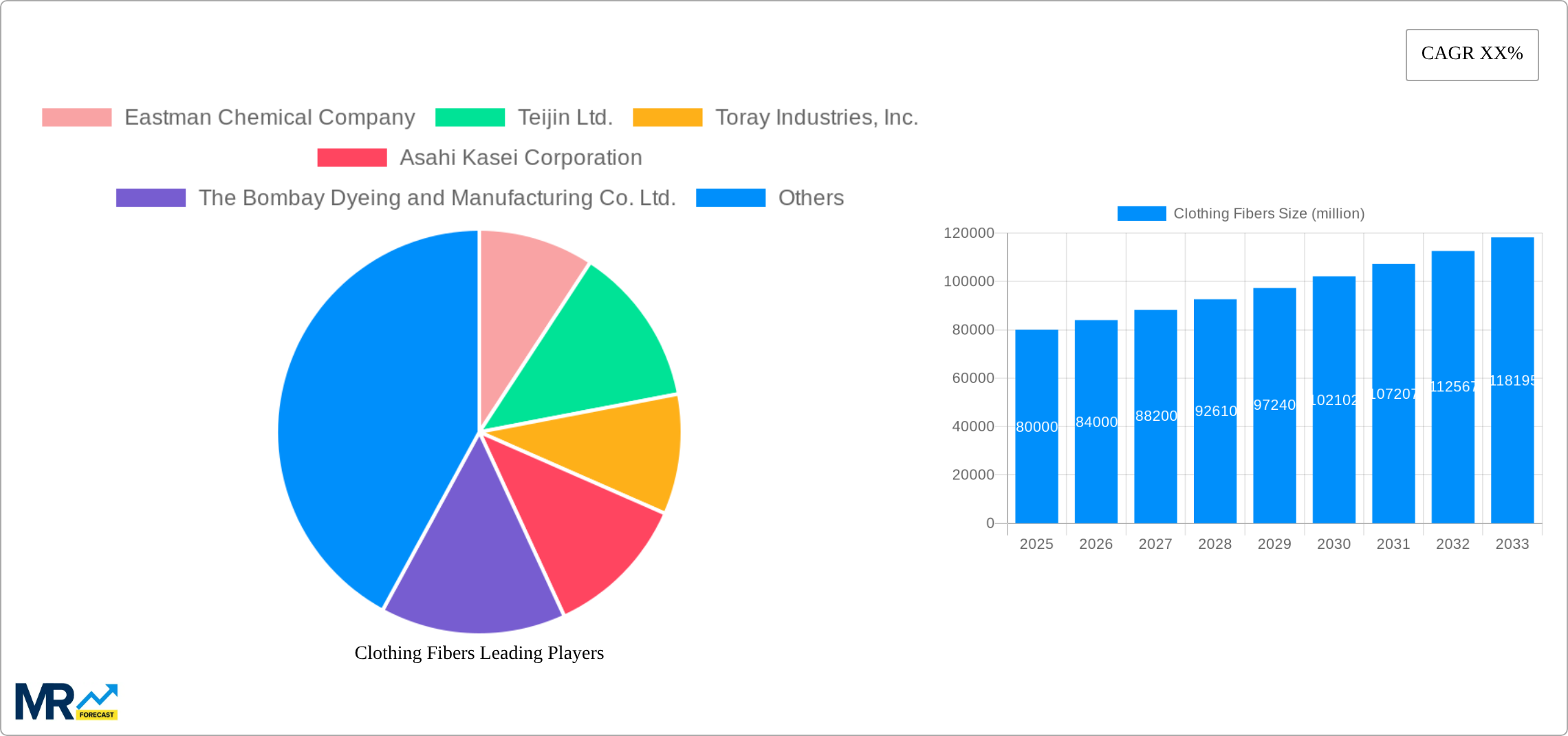 Clothing Fibers Research Report - Market Size, Growth & Forecast
