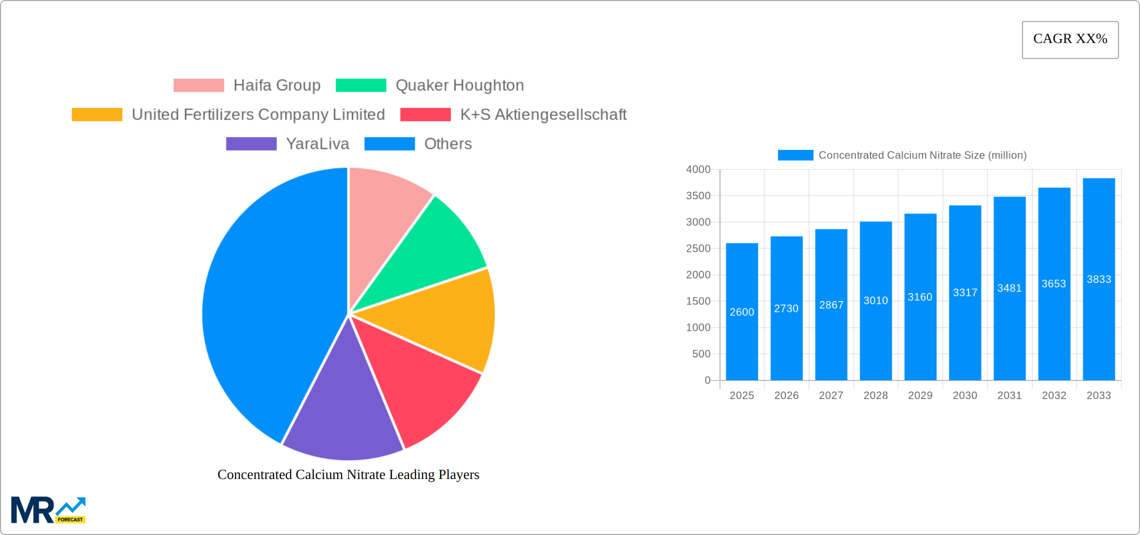 Concentrated Calcium Nitrate Research Report - Market Size, Growth & Forecast