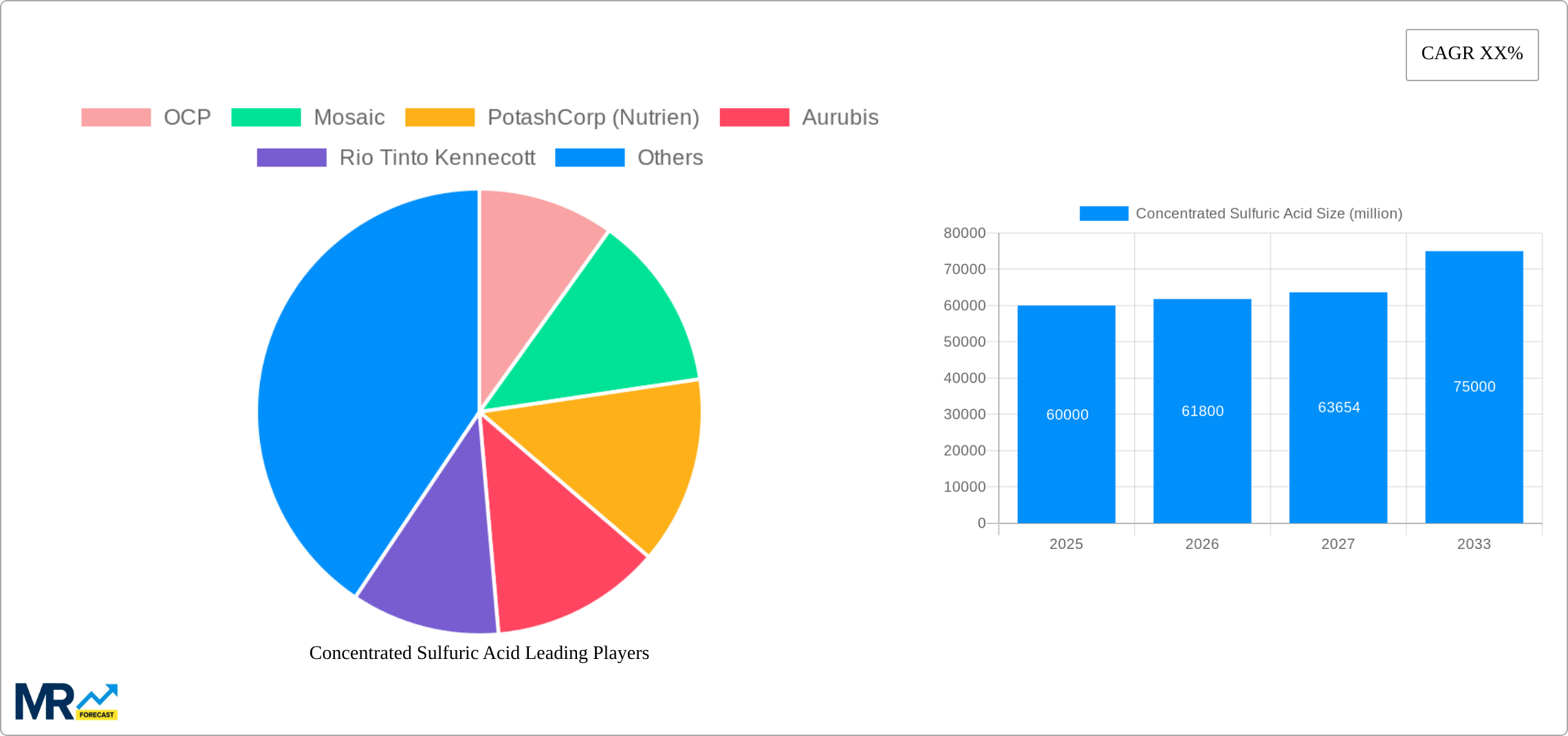 Concentrated Sulfuric Acid Research Report - Market Size, Growth & Forecast
