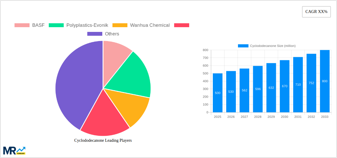 Cyclododecanone Research Report - Market Size, Growth & Forecast