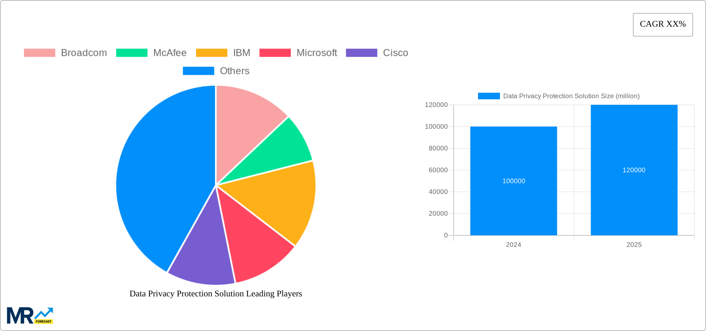 Data Privacy Protection Solution Research Report - Market Size, Growth & Forecast