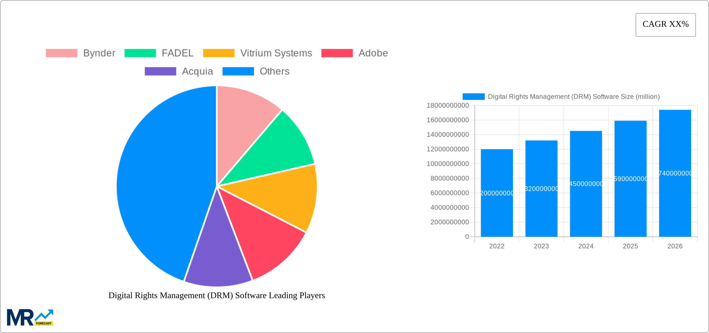 Digital Rights Management (DRM) Software Research Report - Market Size, Growth & Forecast