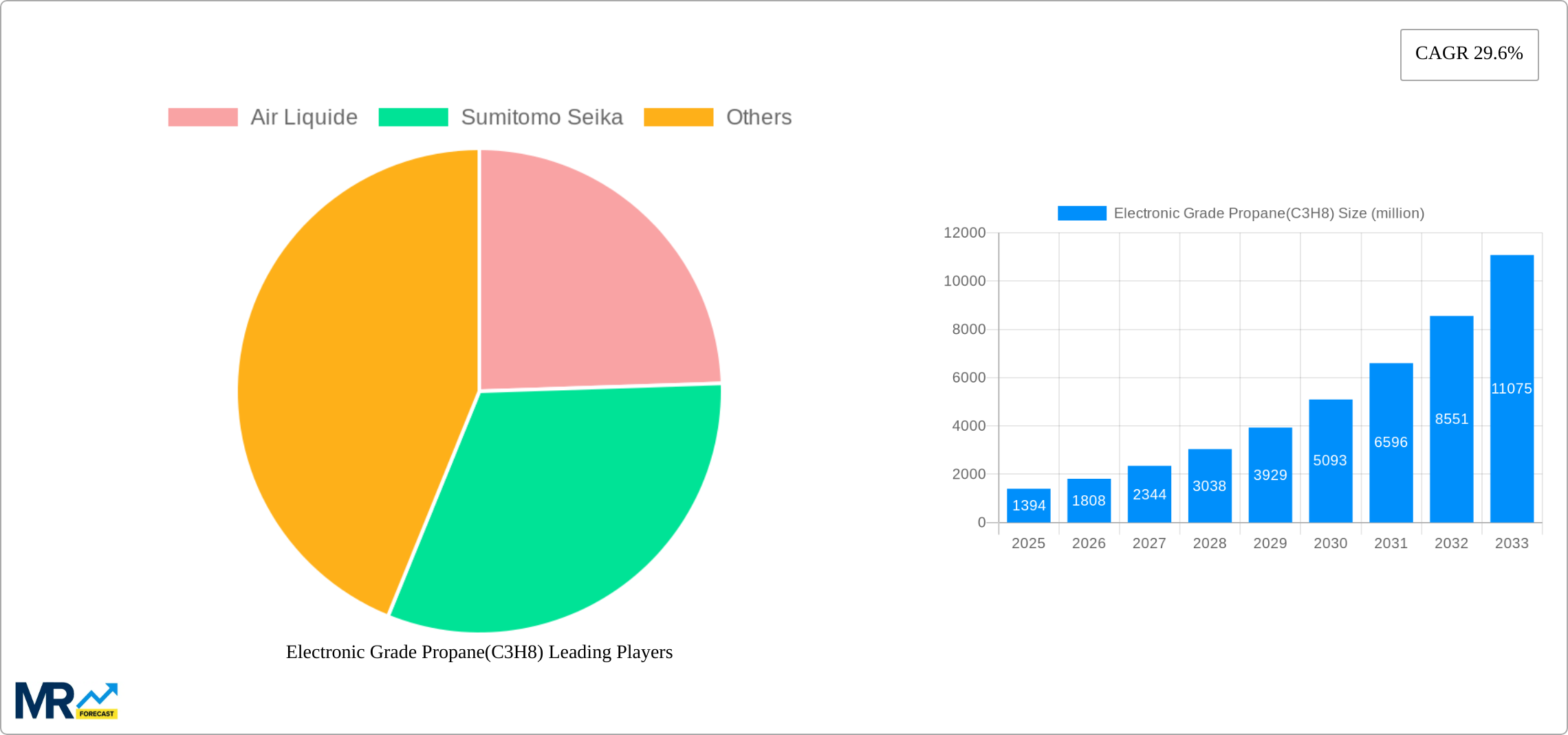 Electronic Grade Propane(C3H8) Research Report - Market Size, Growth & Forecast