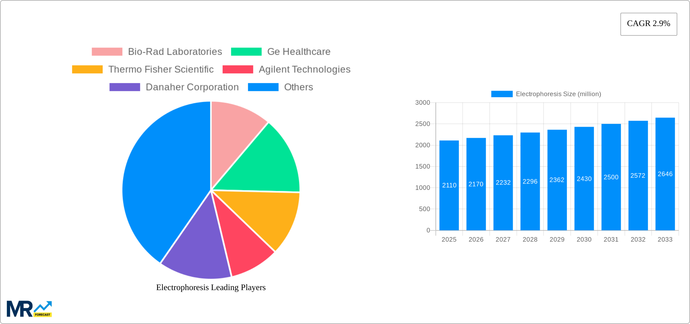 Electrophoresis Research Report - Market Size, Growth & Forecast