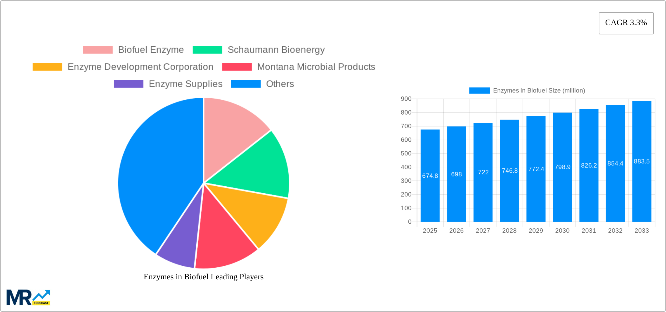 Enzymes in Biofuel Research Report - Market Size, Growth & Forecast